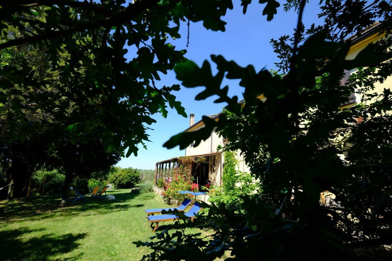 Casa Monteluro - B&b Tavullia Exterior foto